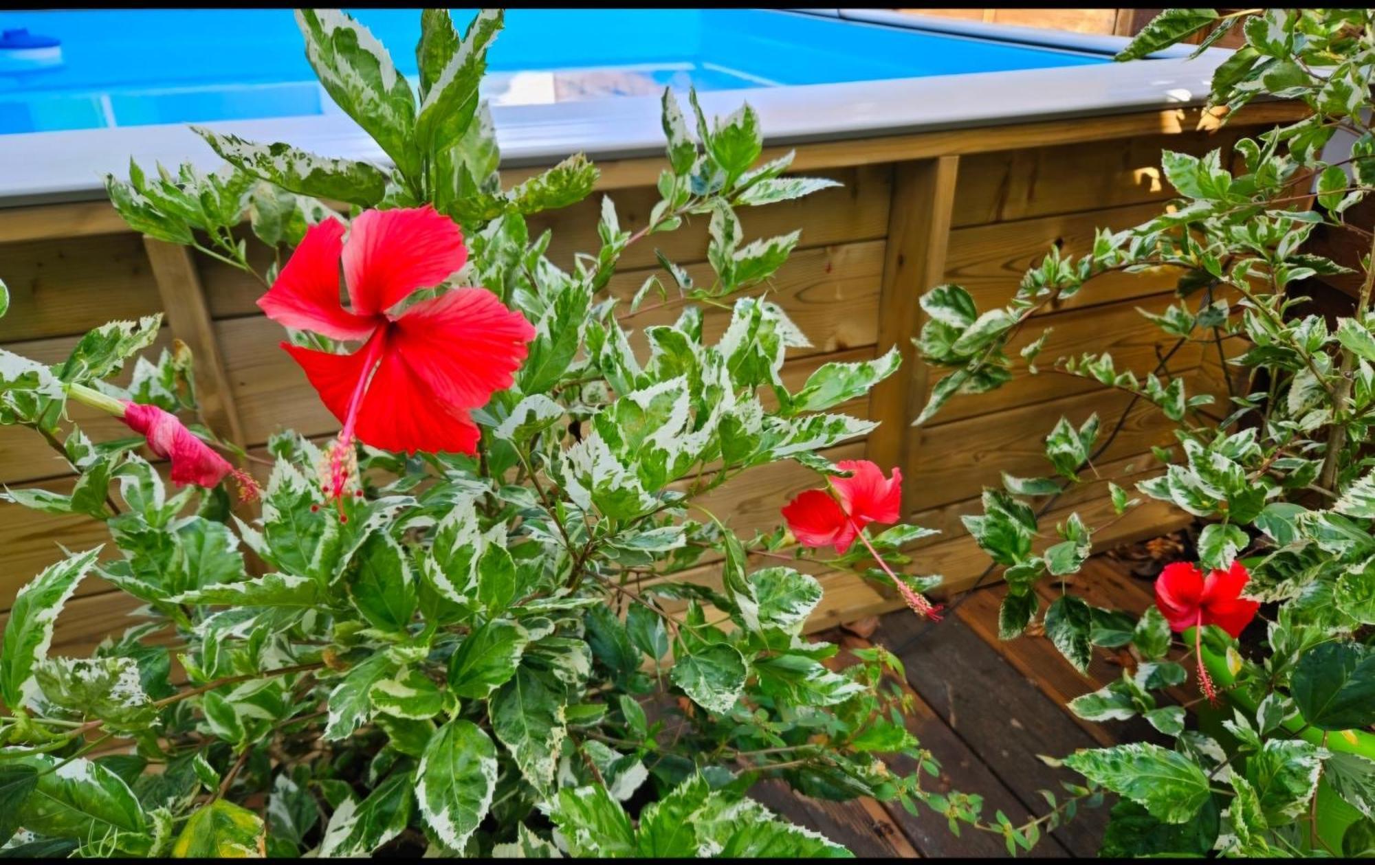 Gite Rubis Passion ปอร์-หลุยส์ ภายนอก รูปภาพ